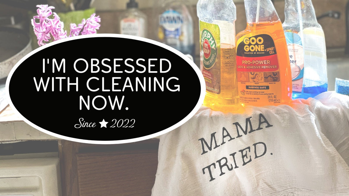 I’m Obsessed With Cleaning Now Down South House & Home